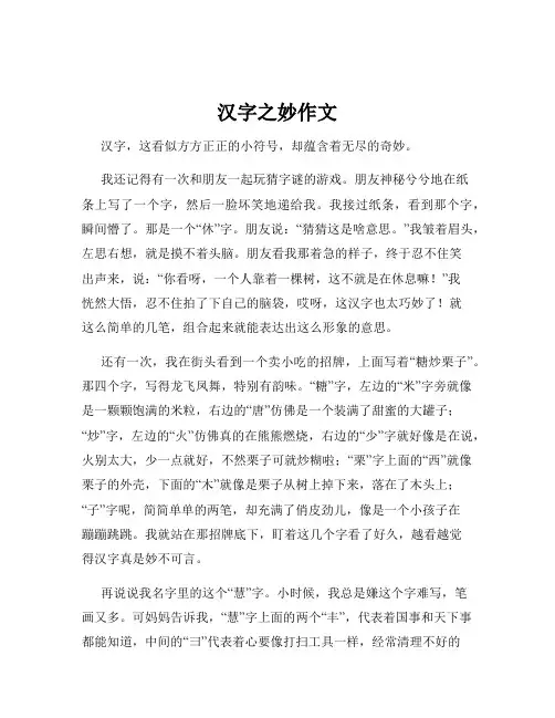 汉字之妙作文