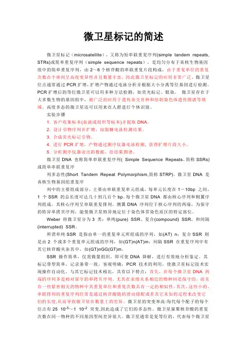 微卫星标记简述