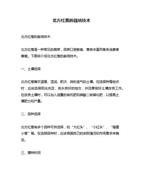 北方红葱的栽培技术