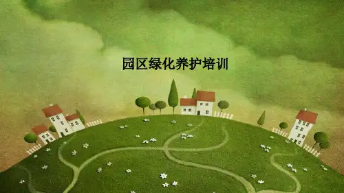 绿化培训完整ppt课件