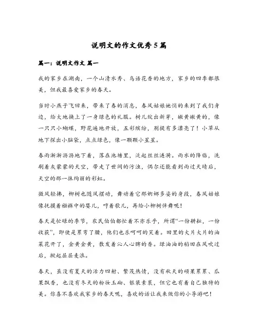 说明文的作文优秀5篇