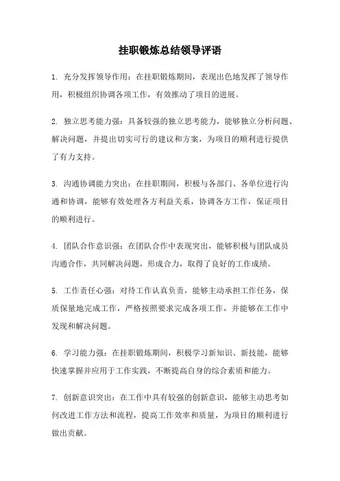 挂职锻炼总结领导评语