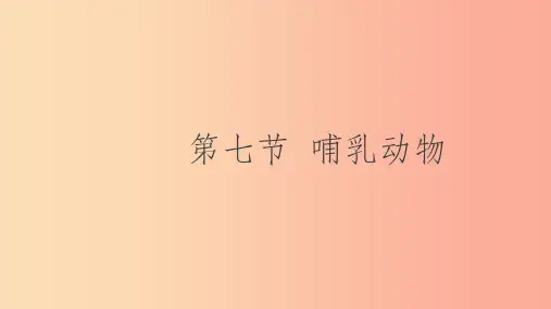 八年级生物上册5.1.7哺乳动物课件 新人教版(1)