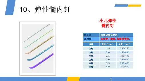 弹性髓内钉-新版本