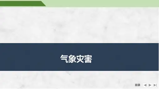 高考地理一轮专项复习ppt课件-气象灾害(通用版)
