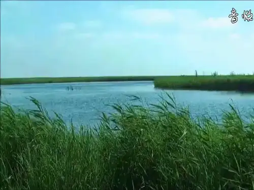 人教版高中地理选修6《环境保护》第四章第四节《生物多样性保护》 (共40张PPT)