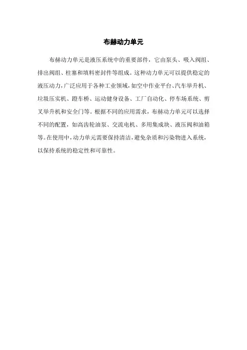 布赫动力单元