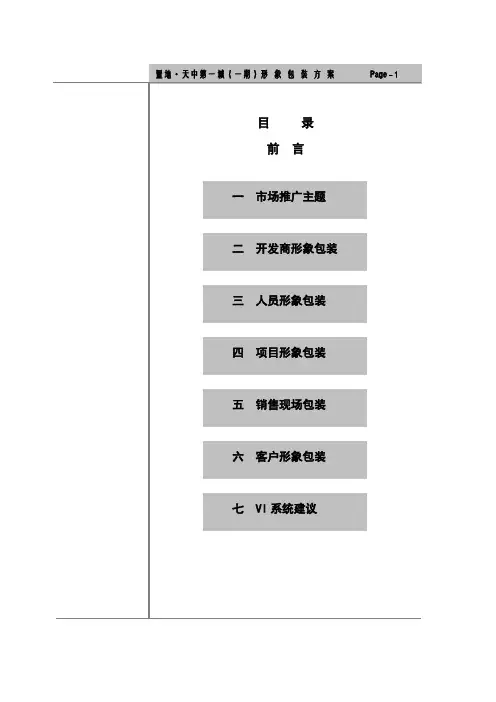 置地天中第一城形象包装方案