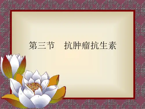 抗肿瘤药3课件