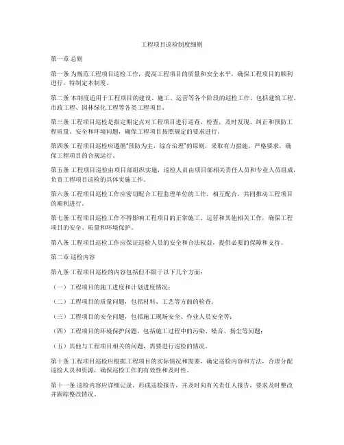 工程项目巡检制度细则