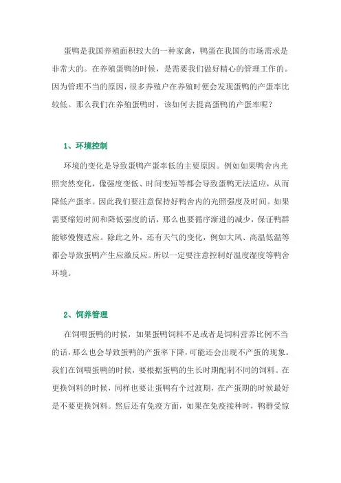 养鸭经验：如何提高蛋鸭的产蛋率？