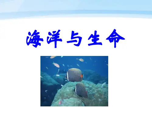 《海洋与生命》PPT课件