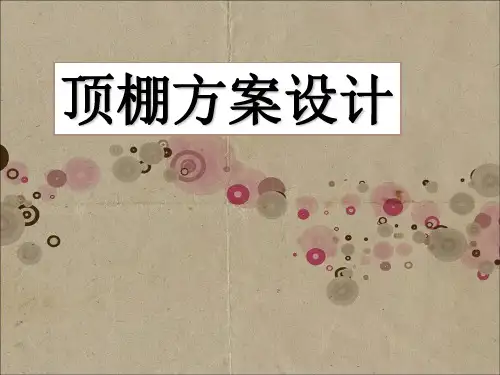 顶棚设计方案