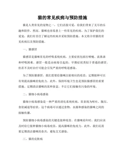 猫的常见疾病与预防措施