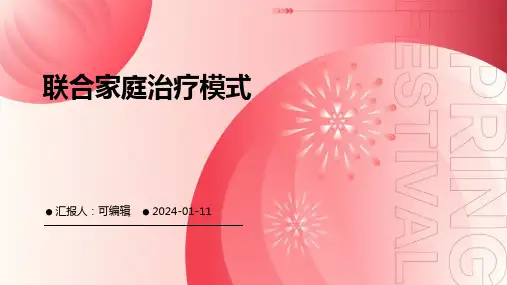 联合家庭治疗模式