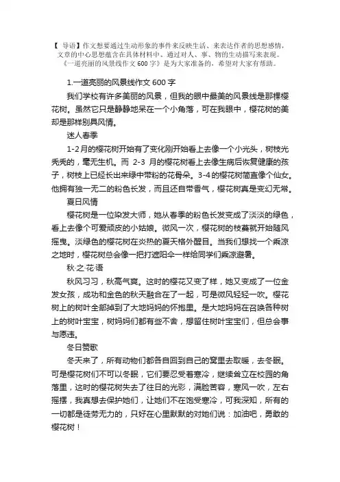 一道亮丽的风景线作文600字（5篇）