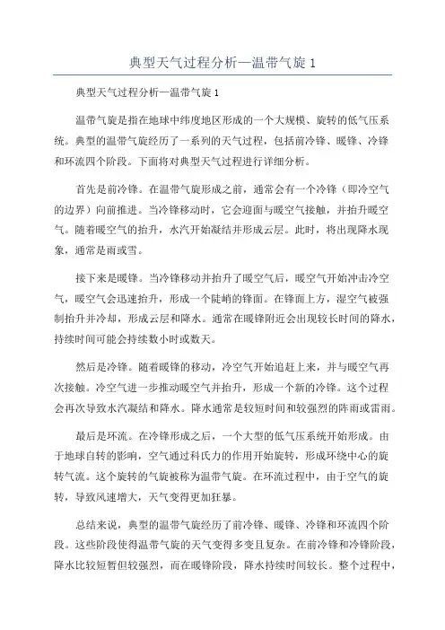 典型天气过程分析—温带气旋1