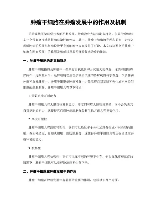 肿瘤干细胞在肿瘤发展中的作用及机制
