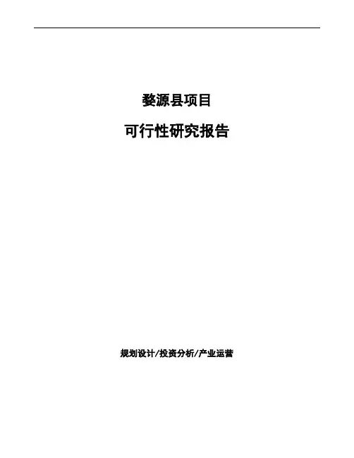 婺源县如何编写项目可行性研究报告