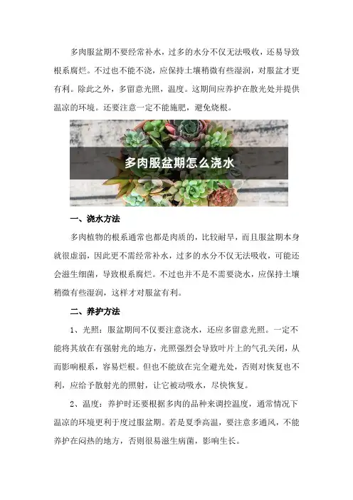 多肉服盆期怎么浇水
