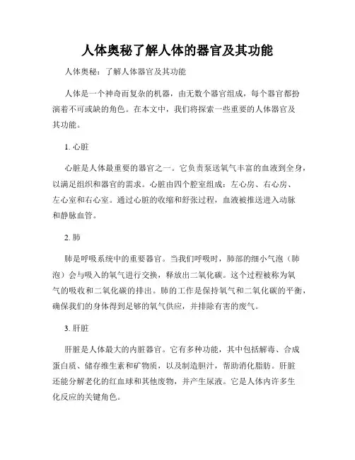 人体奥秘了解人体的器官及其功能