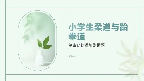 小学生的柔道与跆拳道