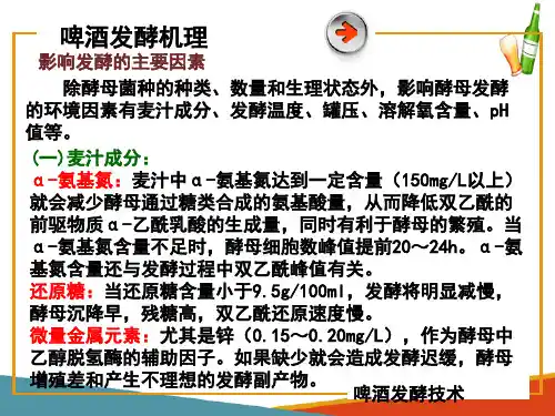 啤酒发酵—啤酒发酵生产操作(啤酒生产技术课件)