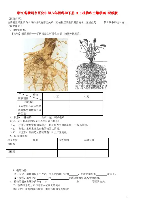 八年级科学下册 3.3植物和土壤学案  浙教版