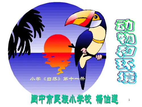 小学自然《动物和环境》PPT课件