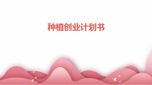 种植创业计划书PPT