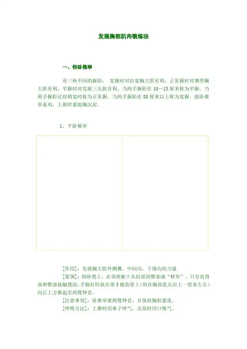 身体各部位主要肌肉群的锻炼方法及动作示范