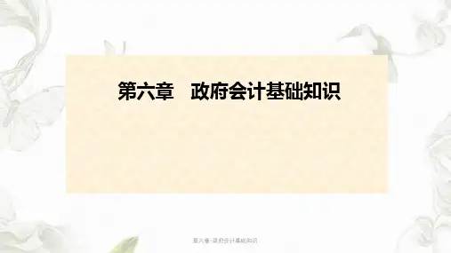 第六章-政府会计基础知识ppt课件