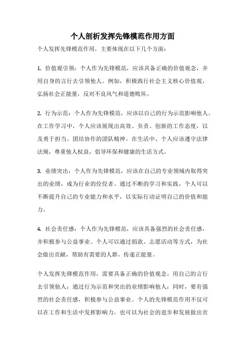 个人剖析发挥先锋模范作用方面