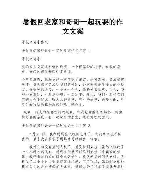 暑假回老家和哥哥一起玩耍的作文文案