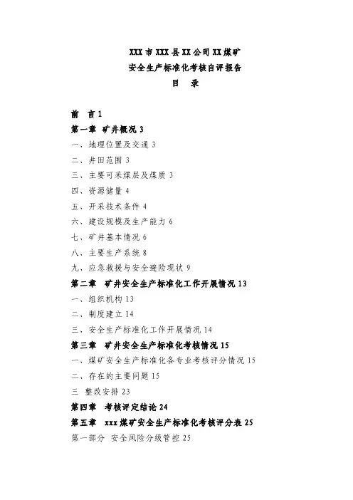 安全生产标准化考核自评报告