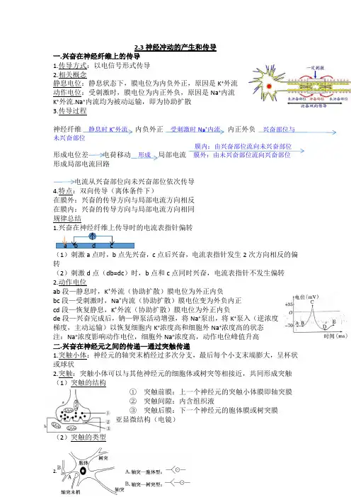 高三生物二轮复习神经冲动的产生和传导