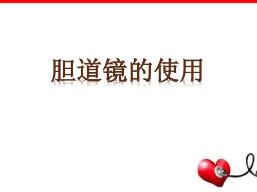 胆道镜的使用PPT演示课件