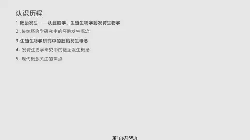 胚胎发生的现代概念PPT课件