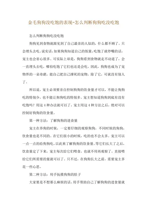 金毛狗狗没吃饱的表现-怎么判断狗狗吃没吃饱