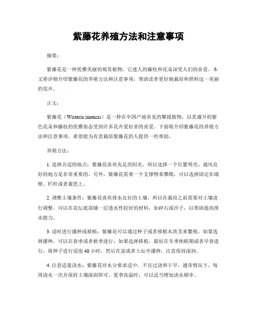 紫藤花养殖方法和注意事项