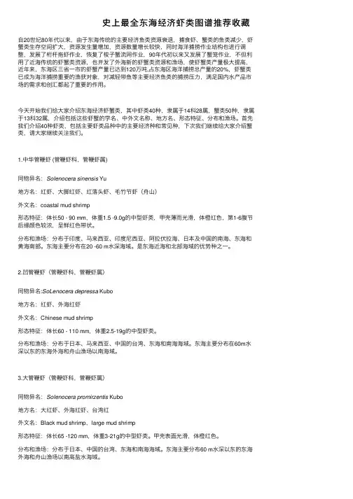史上最全东海经济虾类图谱推荐收藏