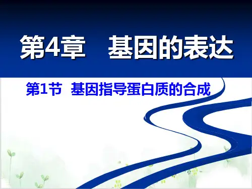 人教版高中生物必修2第四章—基因指导蛋白质的合成(34页)-PPT优秀课件