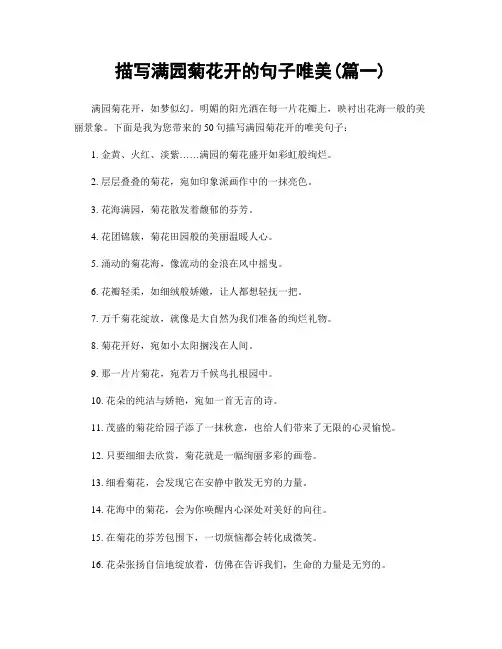 描写满园菊花开的句子唯美(精选2篇)
