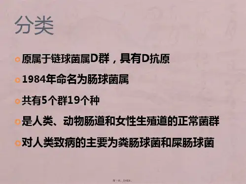 革兰阳性球菌-肠球菌