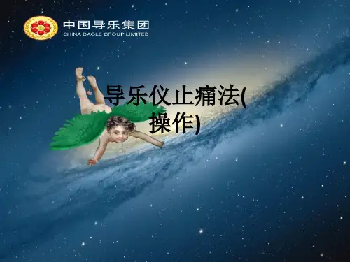 导乐仪止痛法(操作)ppt课件