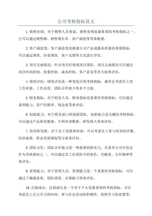 公司考核指标范文