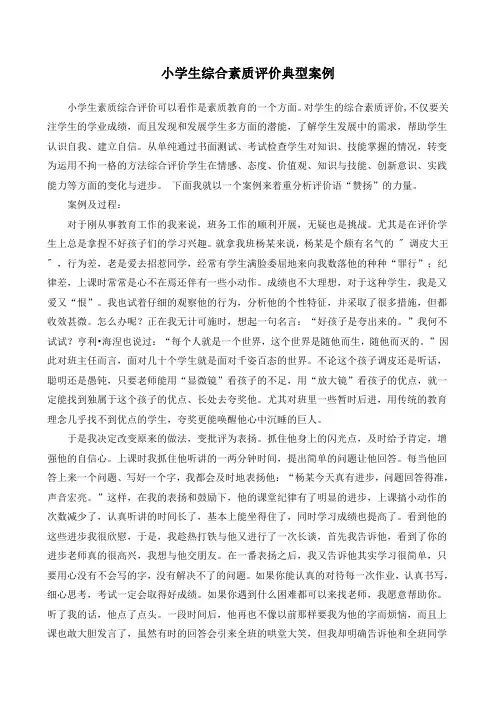 小学生综合素质评价典型案例分析