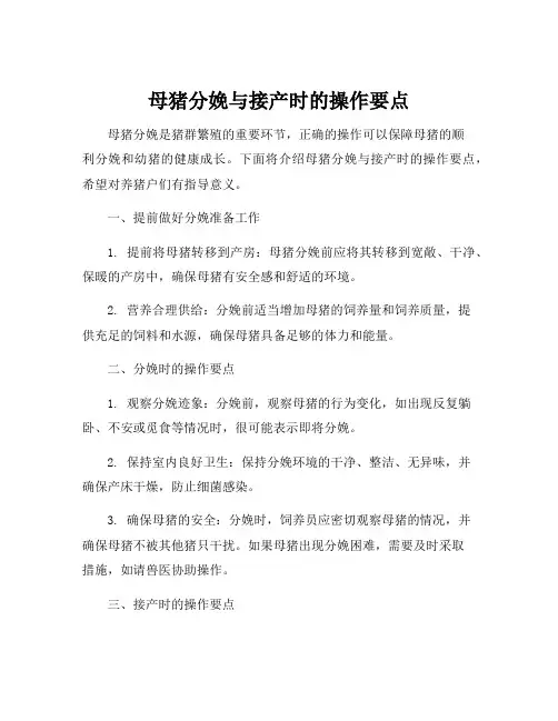 母猪分娩与接产时的操作要点