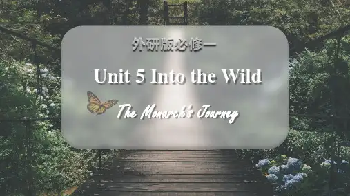 外研版高中英语必修一Uni5 Into the wild课件