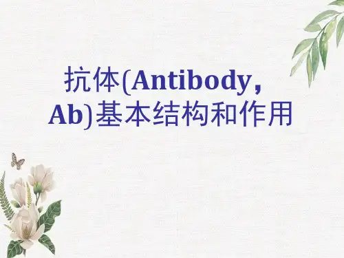 抗体(Antibody,Ab)基本结构和作用